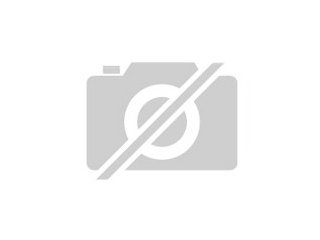 PRIVAT-Report KOSTENLOS